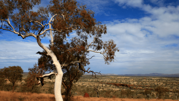 Adobe Hammersley Range