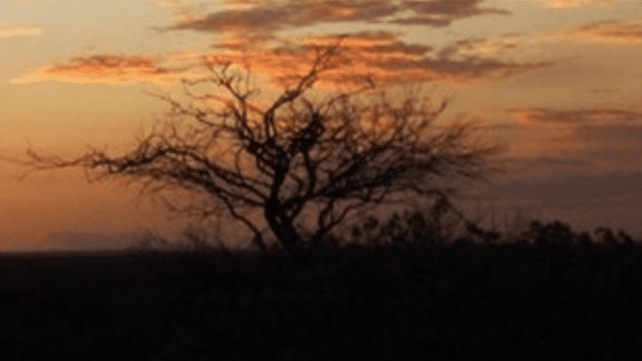 FSL Yalgoo project
