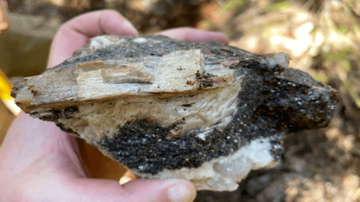 BMM Koshman mineral occurrence large spodumene phenocryst