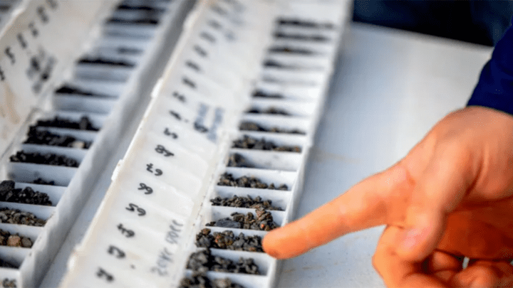 IG6 International Graphite Springdale graphite project WA