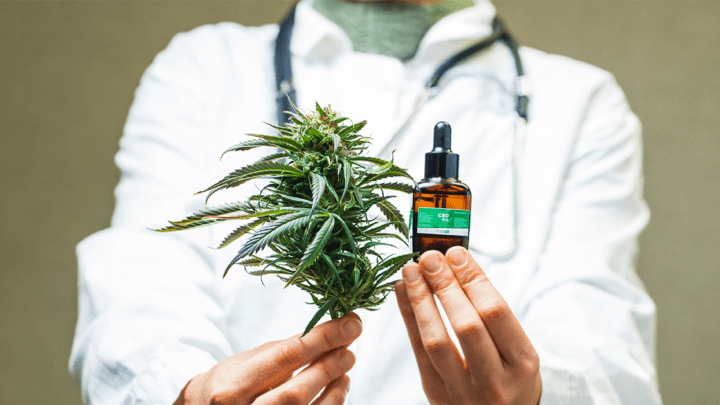 LGP medical cannabis