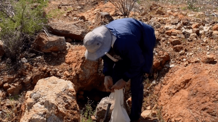 TSC Mt Edon project sampling