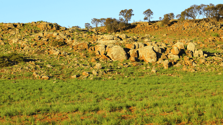 ADOBE Fraser Range outcrops Western Australia