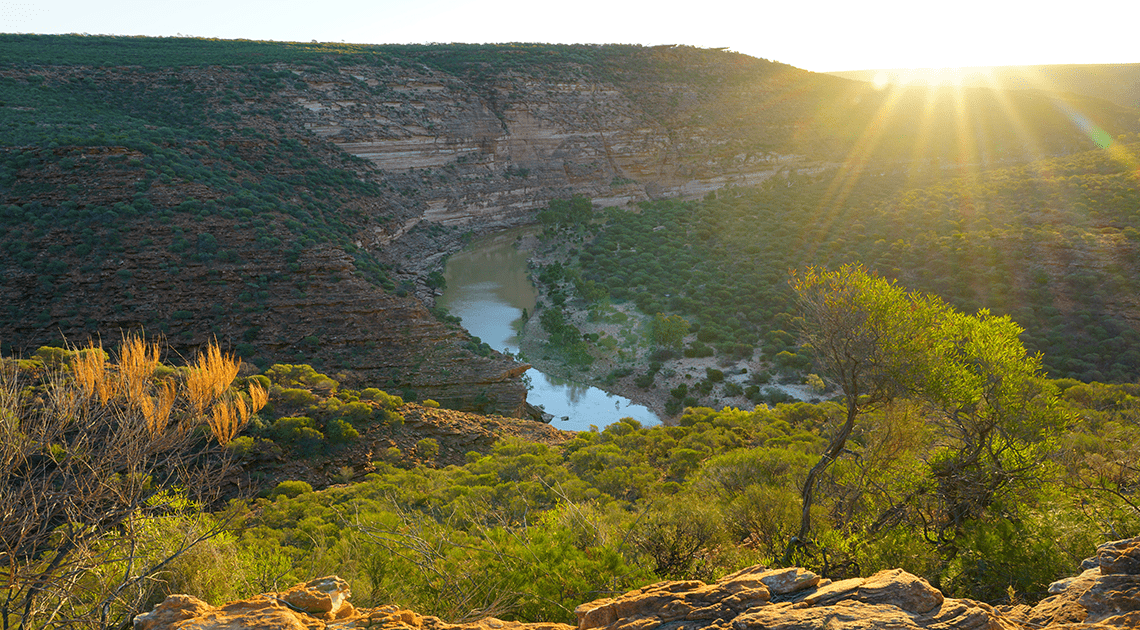 Everest (ASX:EMC) stake claim on Revere Everest (ASX:EMC) stake claim on Revere