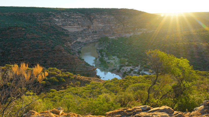 ADOBE murchison WA