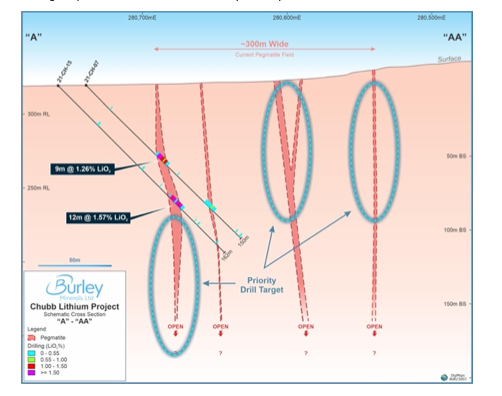 Schematic X-Section of Chubb Lithium Pegmatite Field - highlighting 5 lithium-bearing pegmatite dykes.