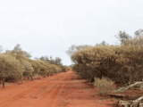 M2R Eastern Goldfields Projects dirt road