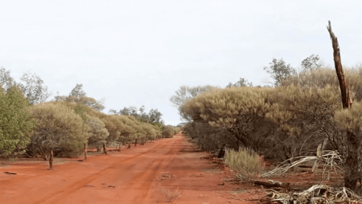 M2R Eastern Goldfields Projects dirt road