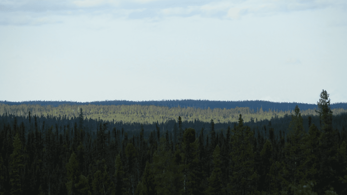 MT Monger (ASX:MTM) move on rare Canadian earth MT Monger (ASX:MTM) move on rare Canadian earth
