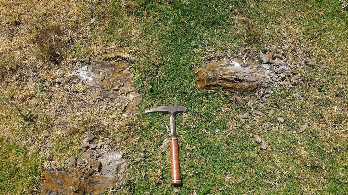 Aguia (ASX:AGR) show fertile phosphate economics Aguia (ASX:AGR) show fertile phosphate economics