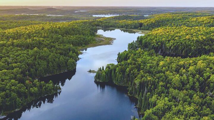 CRR Mavis Lake Online