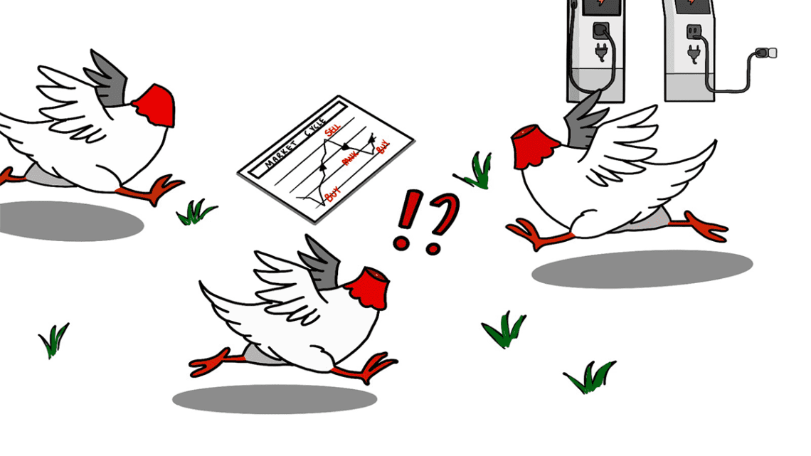Lithium chicken Lithium chicken