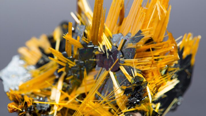 AdobeStock rutile online