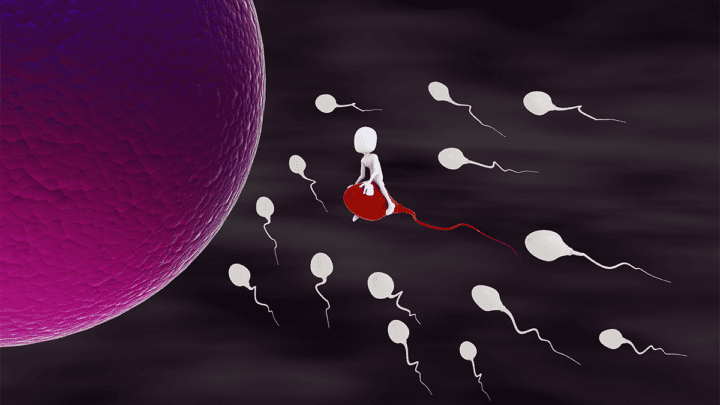 ADOBE sperm racing