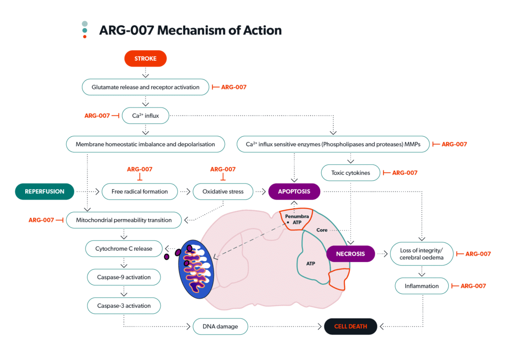 ARG 007 MOA diagram argenica jun2021