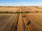 AdobeStock Wheatbelt Online